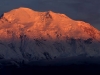 Denali sunset panorama