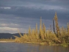 Arctic National Wildlife Refuge 