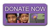 miho-donate-3 Donate Now